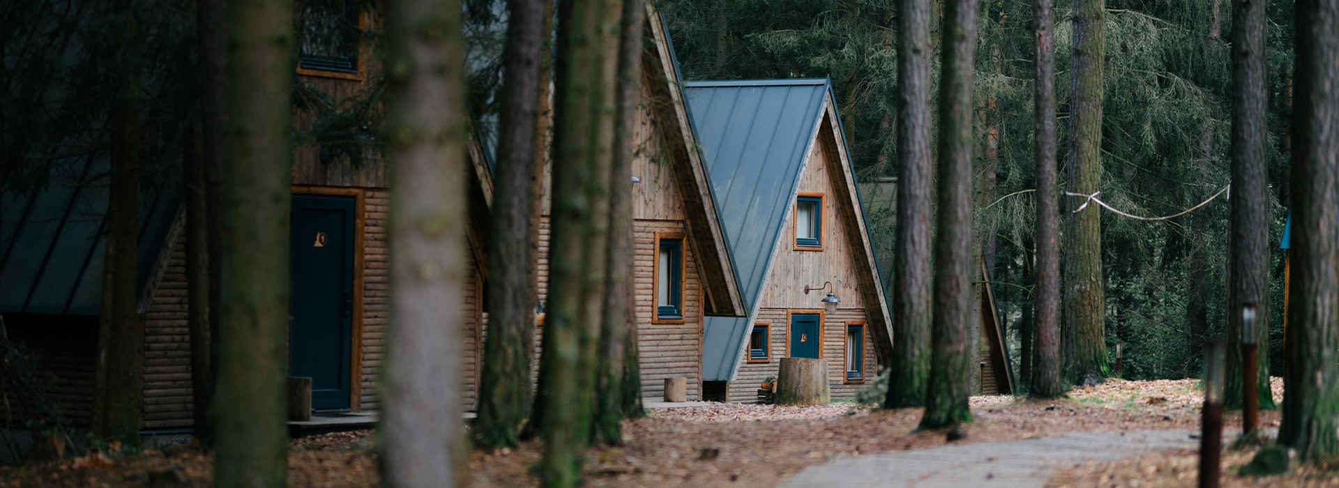 fihvxrz34zvxxzs-333833382e2e36302e31 (1)